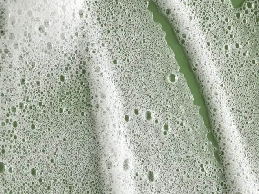 soapy leaf